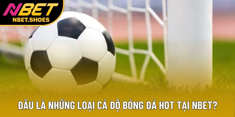 Đâu là những loại cá độ bóng đá hot tại Nbet? Đâu là những loại cá độ bóng đá hot tại Nbet?